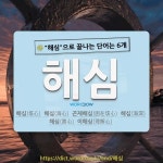 국어사전에서 🌾해심으로 끝나는 단어는 6개