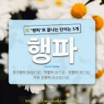 국어사전에서 🌾행파로 끝나는 단어는 5개