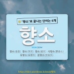 국어사전에서 🌾향소로 끝나는 단어는 6개