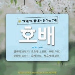 국어사전에서 🌾호배로 끝나는 단어는 7개