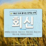 국어사전에서 🌾회신으로 끝나는 단어는 6개