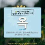 국어사전에서 🌾옥으로 끝나는, 글자수 5개의 단어는 12개