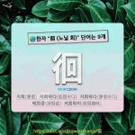 국어사전에서 🌏한자 徊 (노닐 회) 단어는 9개