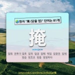 국어사전에서 🌏한자 掩 (닫을 엄) 단어는 81개