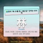 국어사전에서 🌏한자 林 (수풀 림, 수풀 임) 단어는 630개