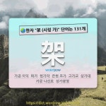 국어사전에서 🌏한자 架 (시렁 가) 단어는 131개
