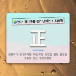 국어사전에서 🌏한자 "正 (바를 정)" 단어는 1,438개