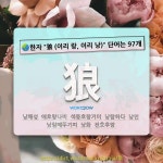 국어사전에서 🌏한자 狼 (이리 랑, 이리 낭) 단어는 97개
