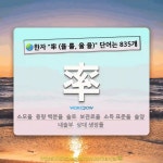 국어사전에서 🌏한자 率 (율 률, 율 율) 단어는 835개