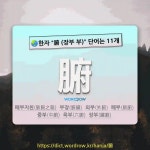 국어사전에서 🌏한자 腑 (장부 부) 단어는 11개