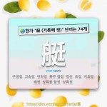 국어사전에서 🌏한자 艇 (거룻배 정) 단어는 74개