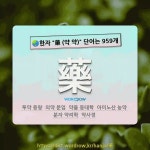 국어사전에서 🌏한자 藥 (약 약) 단어는 959개