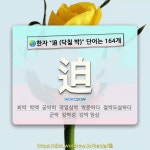 국어사전에서 🌏한자 迫 (닥칠 박) 단어는 164개