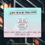 국어사전에서 🌏한자 雪 (눈 설) 단어는 340개