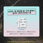 국어사전에서 🌏한자 恬 (편안할 념) 단어 중에서, 글자수 3개의 단어는 5개