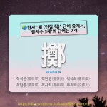 국어사전에서 🌏한자 擲 (던질 척) 단어 중에서, 글자수 3개의 단어는 7개