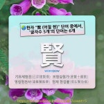 국어사전에서 🌏한자 賢 (어질 현) 단어 중에서, 글자수 5개의 단어는 6개