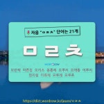 국어사전에서 🌷자음 ㅁㄹㅊ 단어는 21개