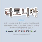 🌟라코니아: 고대 그리스의 도시 국가. 수도는 스파르타이며 펠로폰네소스반도의 타이예토스산맥의 기슭과 에우로... - 표준국어대사전