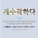 🌟개수작하다: (낮잡는 뜻으로) 이치에 맞지 않는 엉뚱하고 쓸데없는 말이나 행동을 하다. - 표준국어대사전