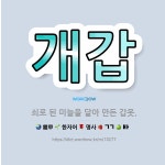 🌟개갑: 쇠로 된 미늘을 달아 만든 갑옷. - 표준국어대사전