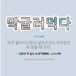 🌟막굴러먹다: 마구 돌아다니면서 살아오거나 마구잡이로 일을 해 오다. - 표준국어대사전