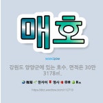 🌟매호: 강원도 양양군에 있는 호수. 면적은 30만 3178㎥. - 표준국어대사전