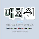 🌟매화원: 매화나무로 이루어진 밭이나 동산. - 표준국어대사전