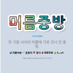 🌟머름중방: 두 기둥 사이의 머름에 가로 건너 낀 중방. - 표준국어대사전