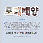 🌟모래배양: 식물의 물 재배 방법의 하나. 깨끗한 모래나 자갈에 식물을 심고 배양액으로 기른다., 세균을 ... - 표준국어대사전