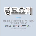 🌟명모호치: 맑은 눈동자와 흰 이라는 뜻으로, 미인(美人)의 모습을 이르는 말. - 표준국어대사전