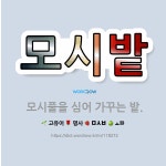 🌟모시밭: 모시풀을 심어 가꾸는 밭. - 표준국어대사전