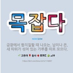 🌟목잡다: 금광에서 함지질할 때 나오는, 납이나 은, 새 따위가 섞여 있는 가루를 따로 모으다. - 표준국어대사전