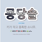 🌟몽당솔: 키가 작고 몽톡한 소나무. - 표준국어대사전