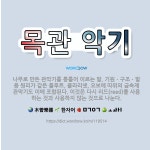 🌟목관 악기: 나무로 만든 관악기를 통틀어 이르는 말. 기원ㆍ구조ㆍ발음 원리가 같은 플루트, 클라리넷, 오... - 표준국어대사전