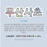 🌟무산사초: 사초과의 여러해살이풀. 뿌리줄기는 짧은데 여러 개로 갈라지며, 잎은 긴 피침 모양이고 잎집이 ... - 표준국어대사전