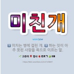 🌟미친개: 미치는 병에 걸린 개., 하는 짓이 아주 못된 사람을 욕으로 이르는 말. - 표준국어대사전