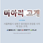 🌟미아리 고개: 서울특별시 성북구 동선동과 돈암동 사이에 있는 고개. - 표준국어대사전