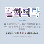 🌟발화되다: 총이나 포에 화약이 재어져 내쏘여 불이 일어나다., 불이 일어나거나 타기 시작하다. - 표준국어대사전