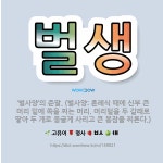 🌟벌생: ‘벌사양’의 준말. (벌사양: 혼례식 때에 신부 큰머리 밑에 쪽을 찌는 머리. 머리털을 두 갈래로... - 표준국어대사전