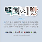 🌟백화제방: 온갖 학문이나 예술, 사상 따위가 함께 성(盛)함을 비유적으로 이르는 말. 중국의 예술 정책으... - 표준국어대사전