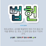 🌟법헌: 천도교에서, 교리를 해설하며 여러 가지 종교 의식을 행하는 집. 또는 그 집에 있는 종교 기관의 교직. - 표준국어대사전