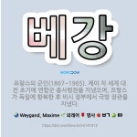 🌟베강: 프랑스의 군인(1867~1965). 제이 차 세계 대전 초기에 연합군 총사령관을 지냈으며, 프랑스... - 표준국어대사전