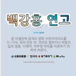 🌟백강홍 연고: 흰 바셀린에 흰색의 염화 수은아마이드를 5~10% 섞어 만든 약. 코안의 점막이나 바깥귀길... - 표준국어대사전