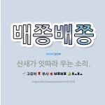 🌟배쫑배쫑: 산새가 잇따라 우는 소리. - 표준국어대사전