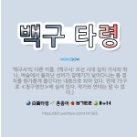 🌟백구 타령: ‘백구사’의 다른 이름. (백구사: 조선 시대 십이 가사의 하나. 벼슬에서 물러난 선비가 갈... - 표준국어대사전