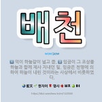 🌟배천: 임금이 그 조상을 하늘과 함께 제사 지내던 일. 임금은 천명에 의하여 하늘이 내린 것이라는 사상에... - 표준국어대사전