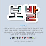 🌟보발: 조선 시대에, 걸어서 급한 공문을 전하는 일을 맡아 하던 사람. 또는 그 공문. 남북로에 두었는데... - 표준국어대사전