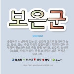 🌟보은군: 충청북도 서남부에 있는 군. 삼면이 산으로 둘러싸여 농산, 광산, 임산, 축산 따위가 발달하였다... - 표준국어대사전