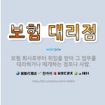 🌟보험 대리점: 보험 회사로부터 위임을 받아 그 업무를 대리하거나 매개하는 점포나 사람. - 표준국어대사전